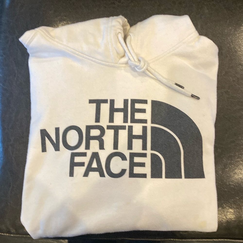 The north face hoodie